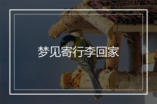 梦见寄行李回家