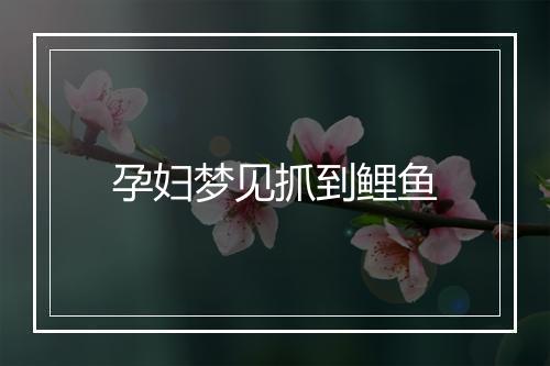 孕妇梦见抓到鲤鱼