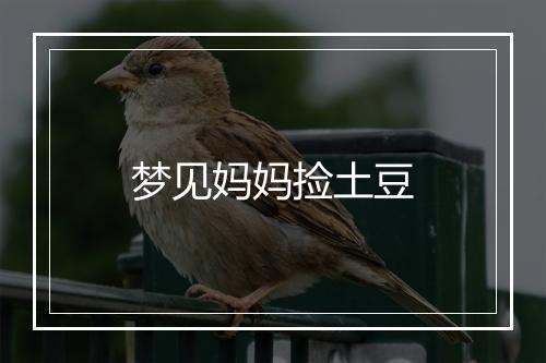 梦见妈妈捡土豆