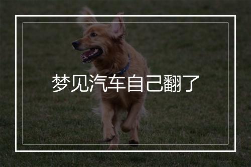 梦见汽车自己翻了