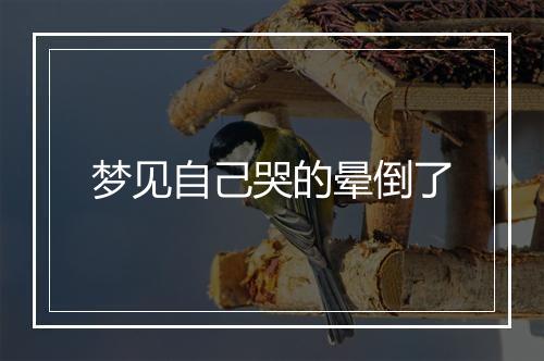 梦见自己哭的晕倒了