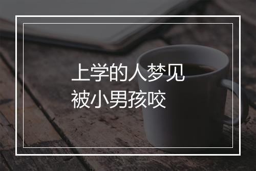 上学的人梦见被小男孩咬