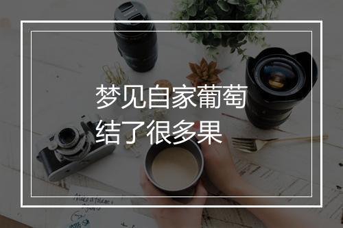 梦见自家葡萄结了很多果