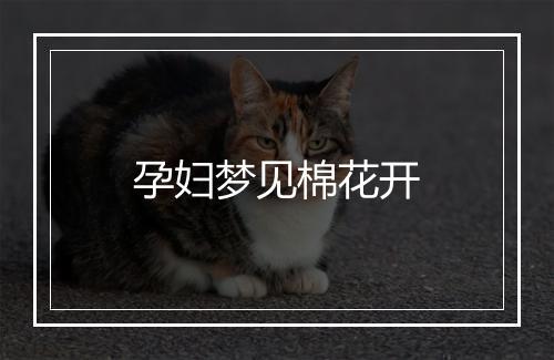 孕妇梦见棉花开