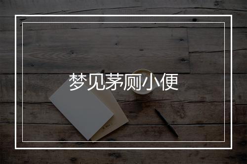 梦见茅厕小便