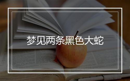 梦见两条黑色大蛇