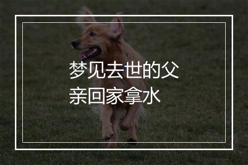 梦见去世的父亲回家拿水