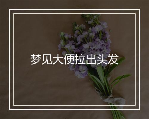 梦见大便拉出头发