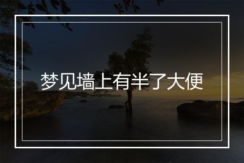 梦见墙上有半了大便