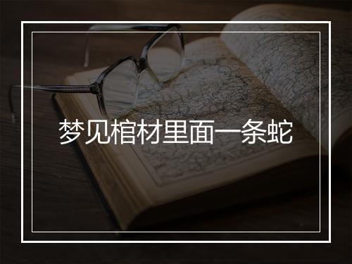 梦见棺材里面一条蛇