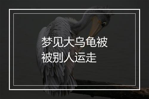 梦见大乌龟被被别人运走