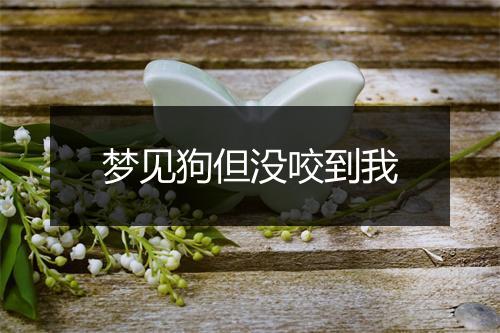 梦见狗但没咬到我