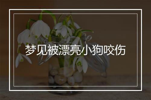 梦见被漂亮小狗咬伤