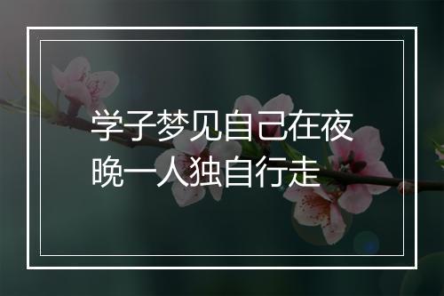 学子梦见自己在夜晚一人独自行走