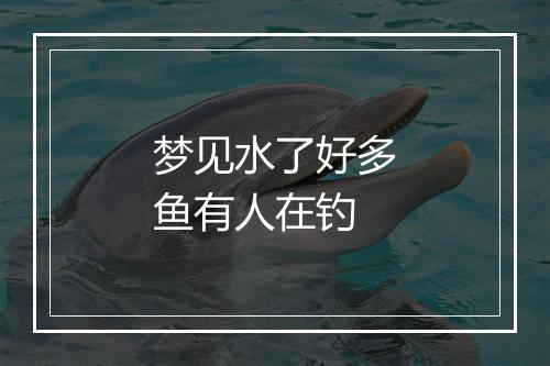 梦见水了好多鱼有人在钓