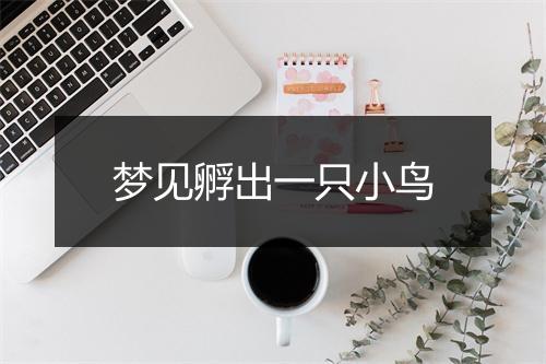 梦见孵出一只小鸟