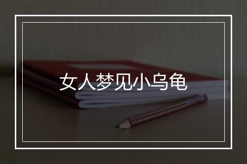 女人梦见小乌龟