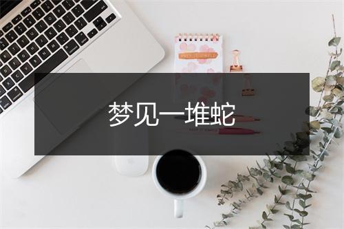 梦见一堆蛇