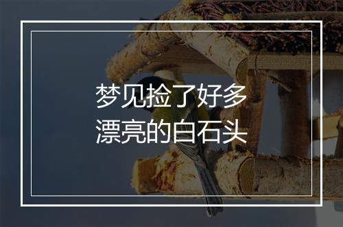 梦见捡了好多漂亮的白石头