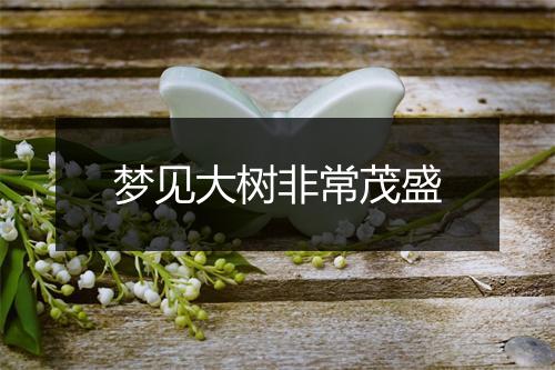 梦见大树非常茂盛