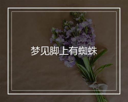 梦见脚上有蜘蛛