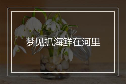 梦见抓海鲜在河里