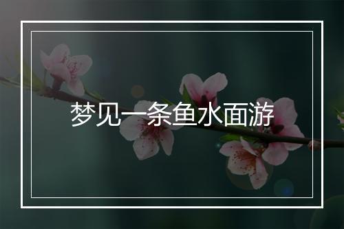 梦见一条鱼水面游