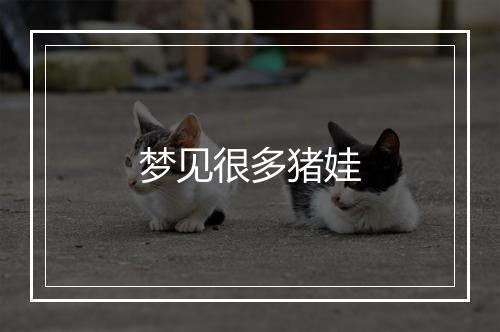 梦见很多猪娃