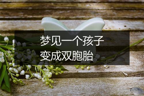 梦见一个孩子变成双胞胎