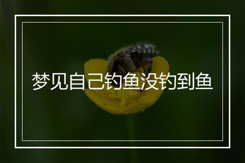 梦见自己钓鱼没钓到鱼