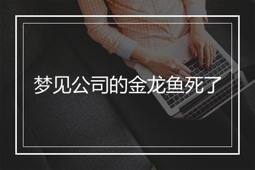 梦见公司的金龙鱼死了