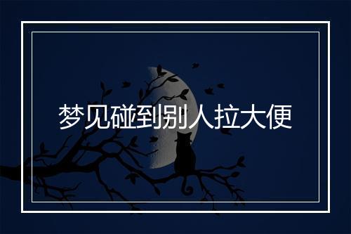 梦见碰到别人拉大便