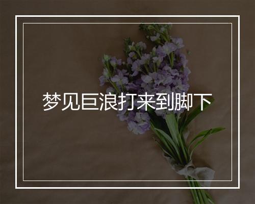 梦见巨浪打来到脚下