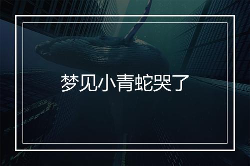 梦见小青蛇哭了