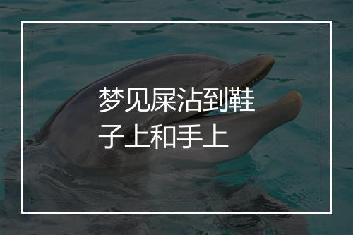 梦见屎沾到鞋子上和手上