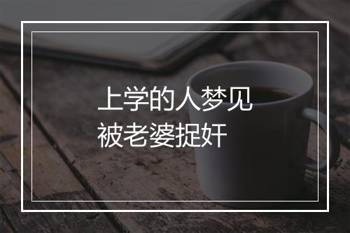 上学的人梦见被老婆捉奸