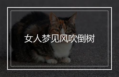 女人梦见风吹倒树