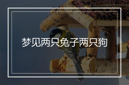 梦见两只兔子两只狗