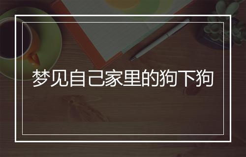 梦见自己家里的狗下狗