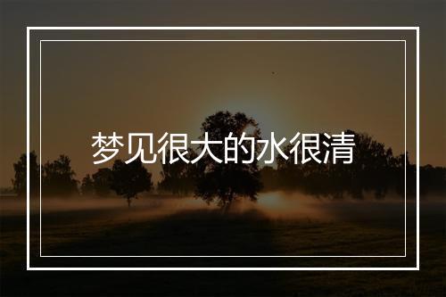 梦见很大的水很清