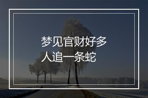 梦见官财好多人追一条蛇