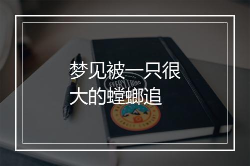 梦见被一只很大的螳螂追