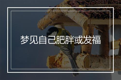 梦见自己肥胖或发福