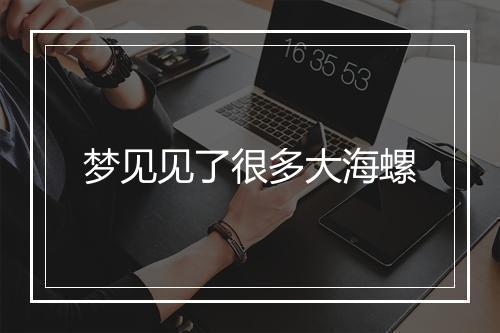 梦见见了很多大海螺