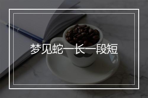 梦见蛇一长一段短