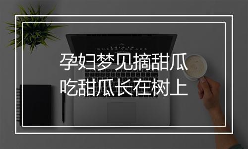 孕妇梦见摘甜瓜吃甜瓜长在树上