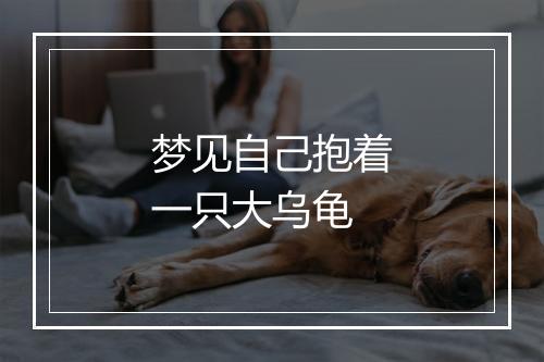 梦见自己抱着一只大乌龟