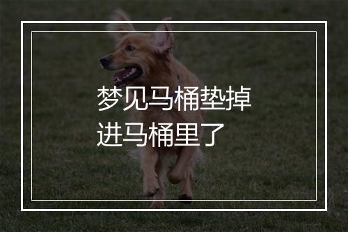 梦见马桶垫掉进马桶里了