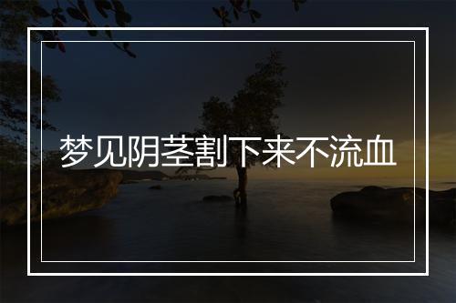 梦见阴茎割下来不流血