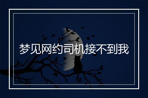 梦见网约司机接不到我